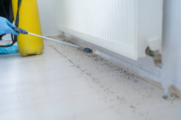 Best Exterminator Services  in Oklahoma, PA