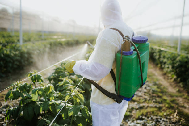Best Ant Control Services  in Oklahoma, PA